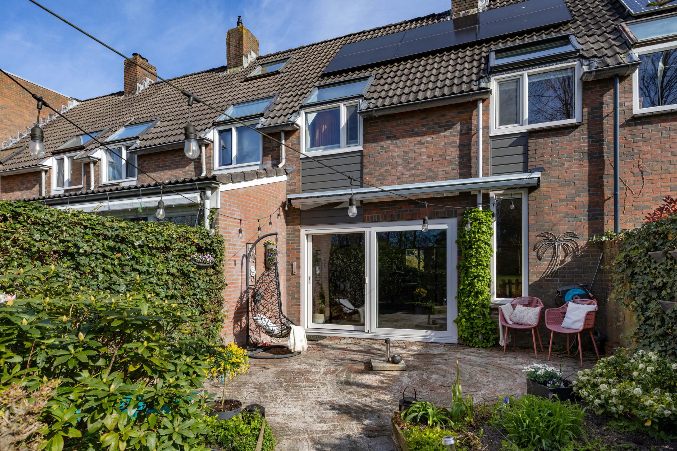 Hoofdafbeelding Zwenkgras 154