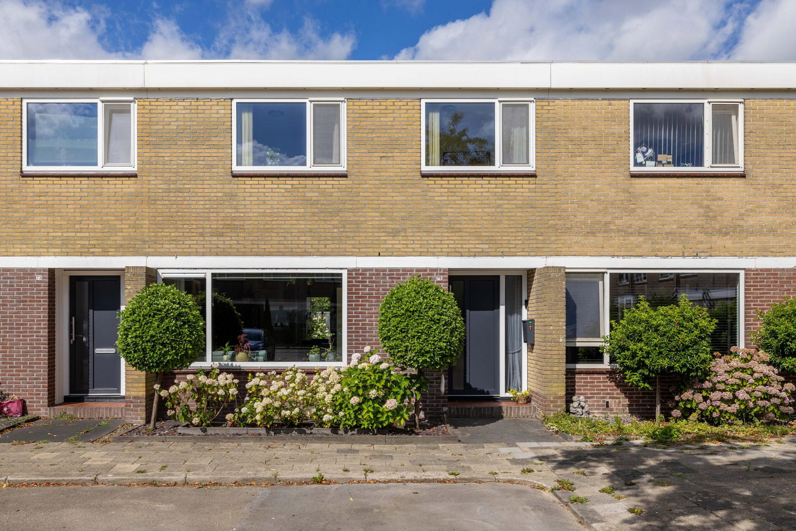 Hoofdafbeelding de Bird 75