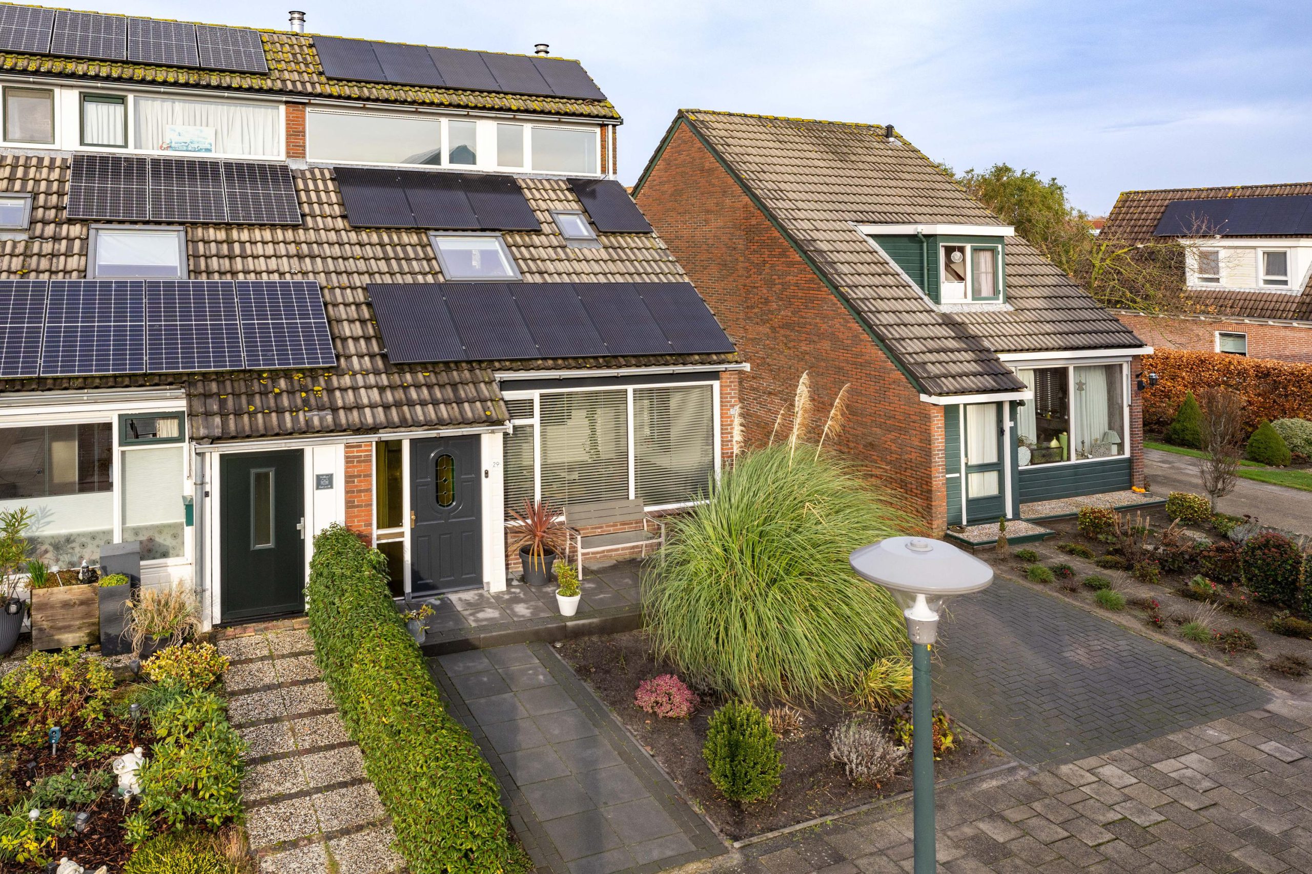 Hoofdafbeelding Molefinne 29